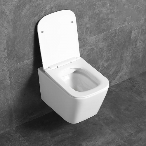 Urea Toilet Seat Lid Machine