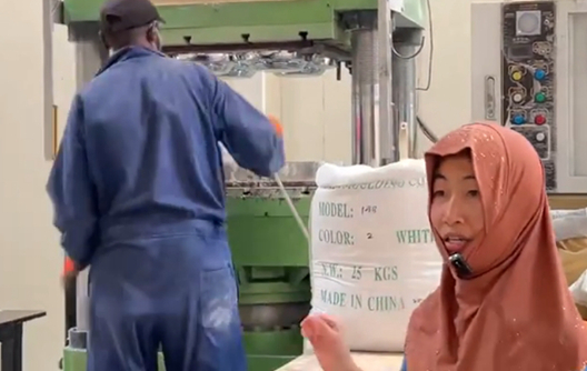 প্লেট ও বাটির জন্য উচ্চ গতির ৩০০-টন একরঙা প্রেস মেশিন